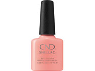 Zobrazit ve větším rozlišení.