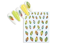 Zobrazit ve větším rozlišení.