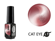 Zobrazit ve větším rozlišení.