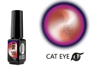 Zobrazit ve větším rozlišení.