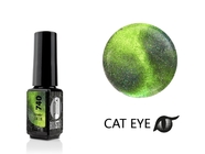 Zobrazit ve větším rozlišení.