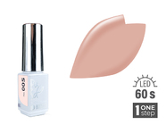 Zobrazit ve větším rozlišení.