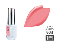 Zobrazit ve větším rozlišení.