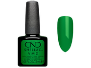 Zobrazit ve větším rozlišení.