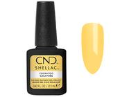 Zobrazit ve větším rozlišení.