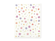 Zobrazit ve větším rozlišení.